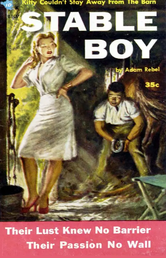 Stable Boy romanının 1954 tarihli Beacon kapağı